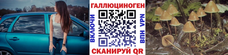 Псилоцибиновые грибы GOLDEN TEACHER  Купить где  Красноуральск 